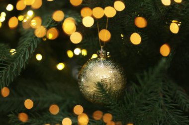 Noel balosu köknar dalında asılı, yakın plan.