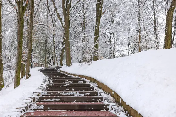 Beautiful trees covered with snow and stairs in winter park
