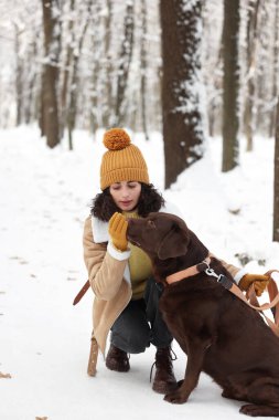 Karlı parkta Labrador Retriever köpeği olan bir kadın.