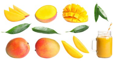 Taze mango meyveleri, meyve suyu ve yeşil yapraklar beyaz üzerine izole edilmiş.