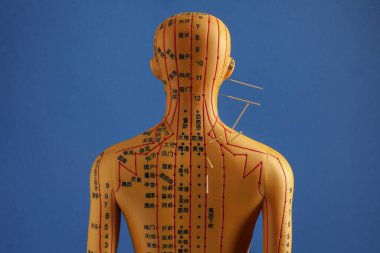 Akupunktur - alternatif tıp. Mavi arka planda iğneleri olan insan modeli