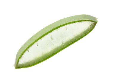 Yeşil aloe vera dilimi beyaza izole edilmiş