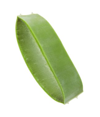 Yeşil aloe vera dilimi beyaza izole edilmiş