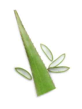 Üst görünümde izole edilmiş aloe vera yaprağını kes