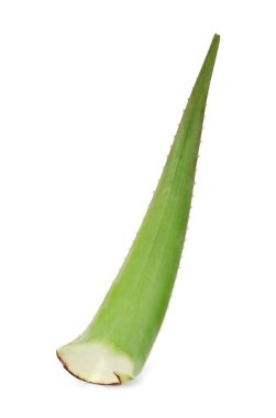 Beyaz üzerinde yeşil aloe vera yaprağı izole