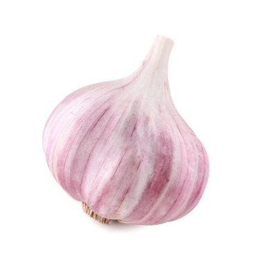 Taze çiğ sarımsak kafası beyaza izole edilmiş.