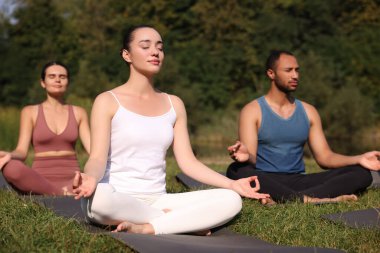Dışarıdaki minderlerde yoga yapan bir grup insan. Lotus pozu