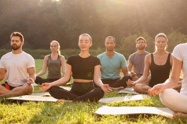 Güneşli bir günde parkta yoga yapan bir grup insan. Lotus pozu