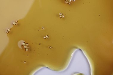 Renk sıvısı numuneli Petri kabı, yakın plan.