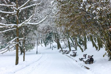 Kış parkında karla kaplı ağaçlar ve banklar