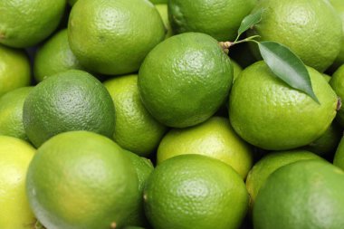 Arkaplan olarak yeşil yapraklı birçok taze limon, yakın plan