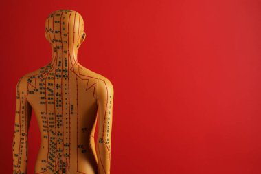 Akupunktur - alternatif tıp. Kırmızı arka planda noktaları ve çizgileri olan insan modeli. Metin için boşluk