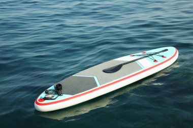 Suda kürek çeken bir SUP tahtası.