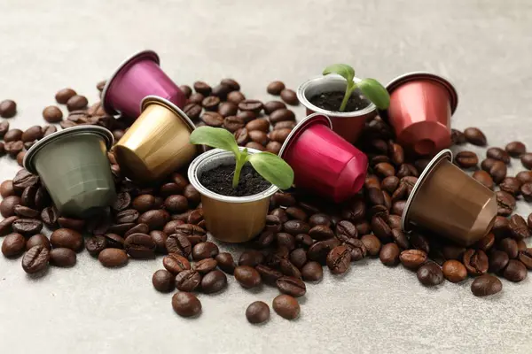 Coffee capsules with seedlings and beans on light grey table