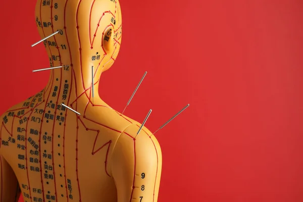 Acupuncture - alternative medicine. Human model with needles in head and shoulder on red background, space for text