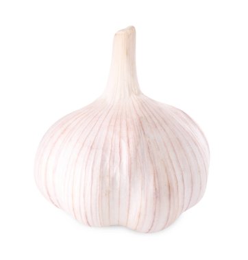 Bir baş taze sarımsak.