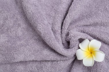 Plumeria çiçeği menekşe rengi havlu, üst manzara. Metin için boşluk