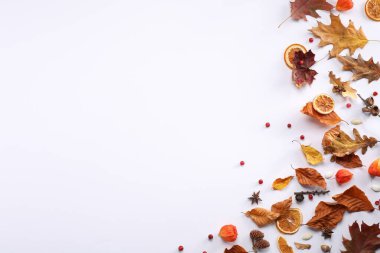 Beyaz zemin üzerinde kuru sonbahar yaprakları ile düz kompozisyon yatıyordu. Metin için boşluk