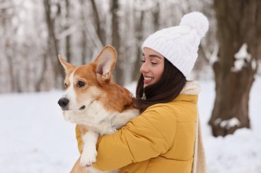 Parkta sevimli Pembroke Galli Corgi köpeği olan bir kadın.