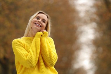 Sonbahar titreşimleri. Açık havada mutlu bir kadının portresi. Metin için boşluk