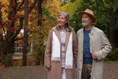 Sonbahar parkında sevgi dolu yaşlı çift, mesaj için yer