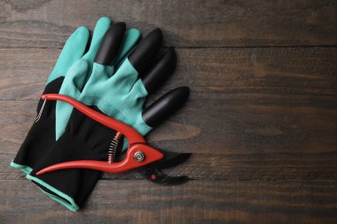 Pençe bahçe eldivenleri ve secateurs ahşap masa, üst manzara. Metin için boşluk