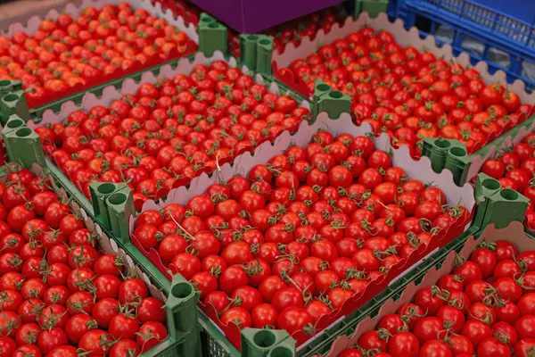 Many fresh tomatoes in containers at wholesale market