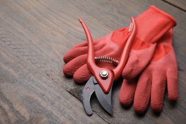 Ahşap masada bir çift kırmızı bahçe eldiveni ve secateurs, metin için yer