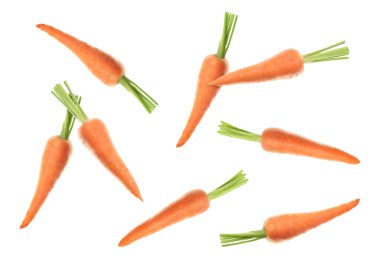 Beyaz zemine düşen taze taze havuçlar.