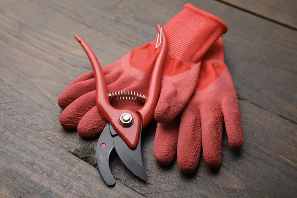 Ahşap masada bir çift kırmızı bahçe eldiveni ve secateurs.