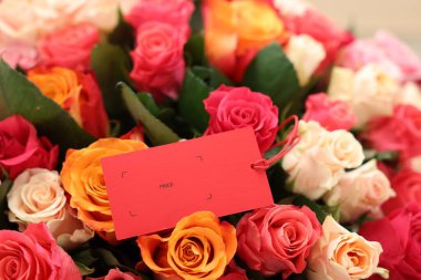 Boş kartla güzel güller, yakın plan.