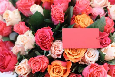Boş kartla güzel güller, üst manzara.