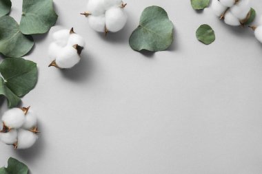 Pamuk çiçekleri ve okaliptüs yaprakları açık gri arka planda, düz yerde. Metin için boşluk