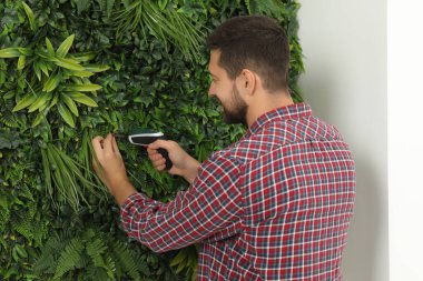 Tornavidalı bir adam, odanın beyaz duvarına yeşil bitki paneli yerleştiriyor.