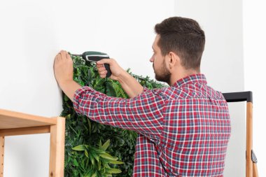 Tornavidalı bir adam, odanın beyaz duvarına yeşil bitki paneli yerleştiriyor.