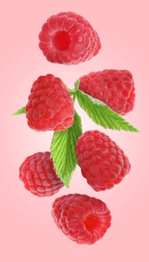 Pembe arka plana düşen taze ahududu ve yeşil yapraklar.