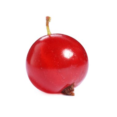 Bir olgun kırmızı frenk üzümü beyaza izole edilmiş.