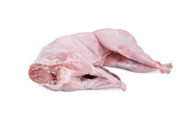 Taze çiğ tavşan beyazı izole etmiş.