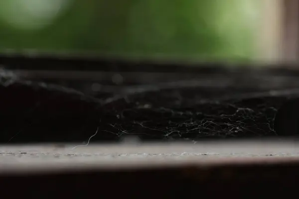 Spinnennetz Altem Holzfensterrahmen Drinnen Nahaufnahme — Stockfoto
