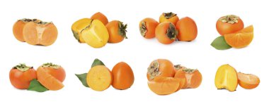 Beyaz üzerine izole edilmiş taze hurma meyveleri, koleksiyon