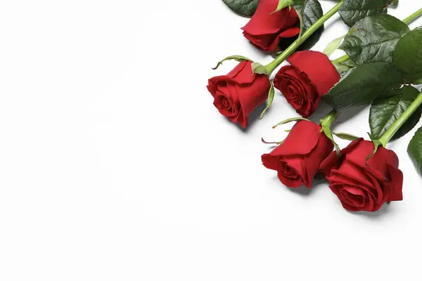 Όμορφα Κόκκινα Τριαντάφυλλα Λευκό Φόντο Πάνω Από Την Άποψη Χώρος — Φωτογραφία Αρχείου