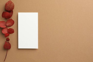 Boş bir kartvizit ve bej arka planda kırmızı okaliptüs dalı. Tasarım için model