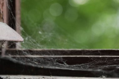 Eski ahşap pencere çerçevesindeki örümcek ağı kapalı, yakın plan