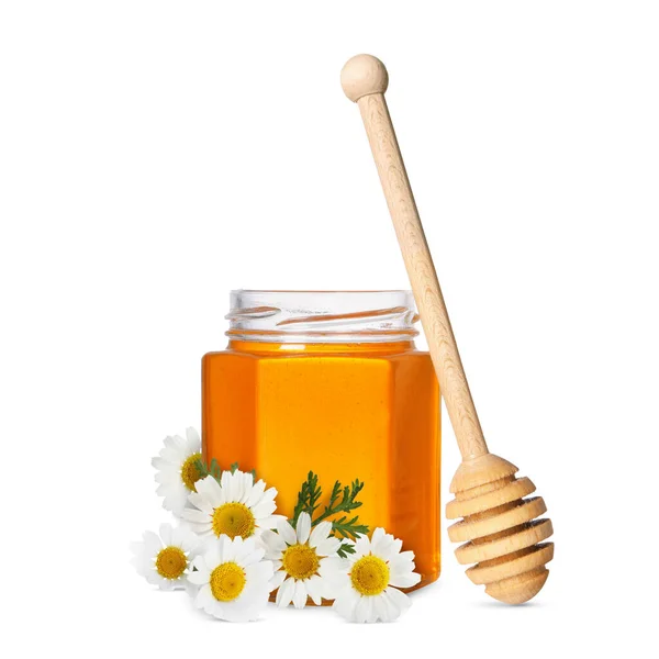 Honung Glasburk Dipper Och Kamomill Blommor Isolerade Vit — Stockfoto