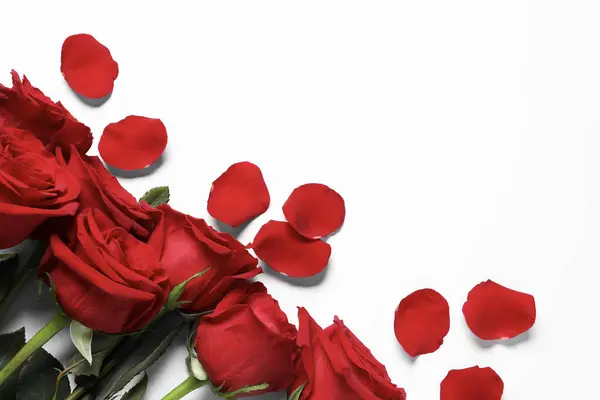 Όμορφα Κόκκινα Τριαντάφυλλα Και Πέταλα Λευκό Φόντο Κορυφαία Θέα Χώρος — Φωτογραφία Αρχείου