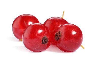 Taze kırmızı frenk üzümü beyaza izole edilmiş.