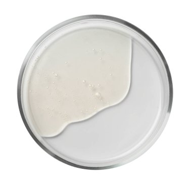 Beyaz arka planda sıvı örneği olan petri kabı, üst görünüm