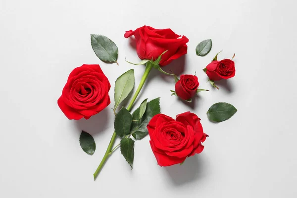 Όμορφα Κόκκινα Τριαντάφυλλα Στο Φως Φόντο Επίπεδη Lay — Φωτογραφία Αρχείου
