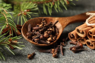 Farklı baharatlı ahşap kaşık ve gri masada köknar dalları, yakın plan.