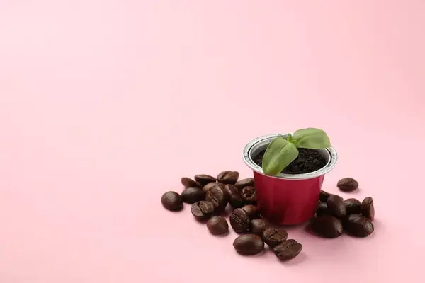 Coffee capsule, seedling and beans on pink background, space for text
